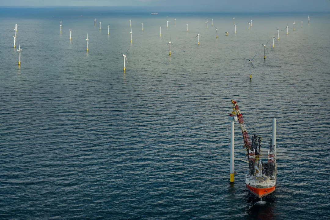 No applications received for Dutch North Sea wind farm