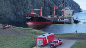 Grounded container ship MSC Baltic III under salvage operations in Cedar Cove, Newfoundland